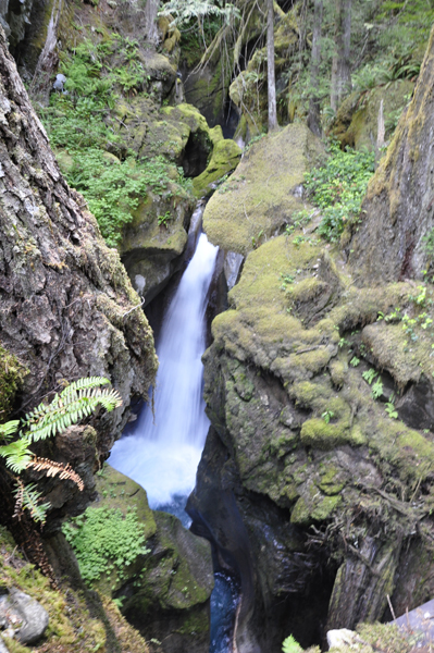 Ladder Creek Falls